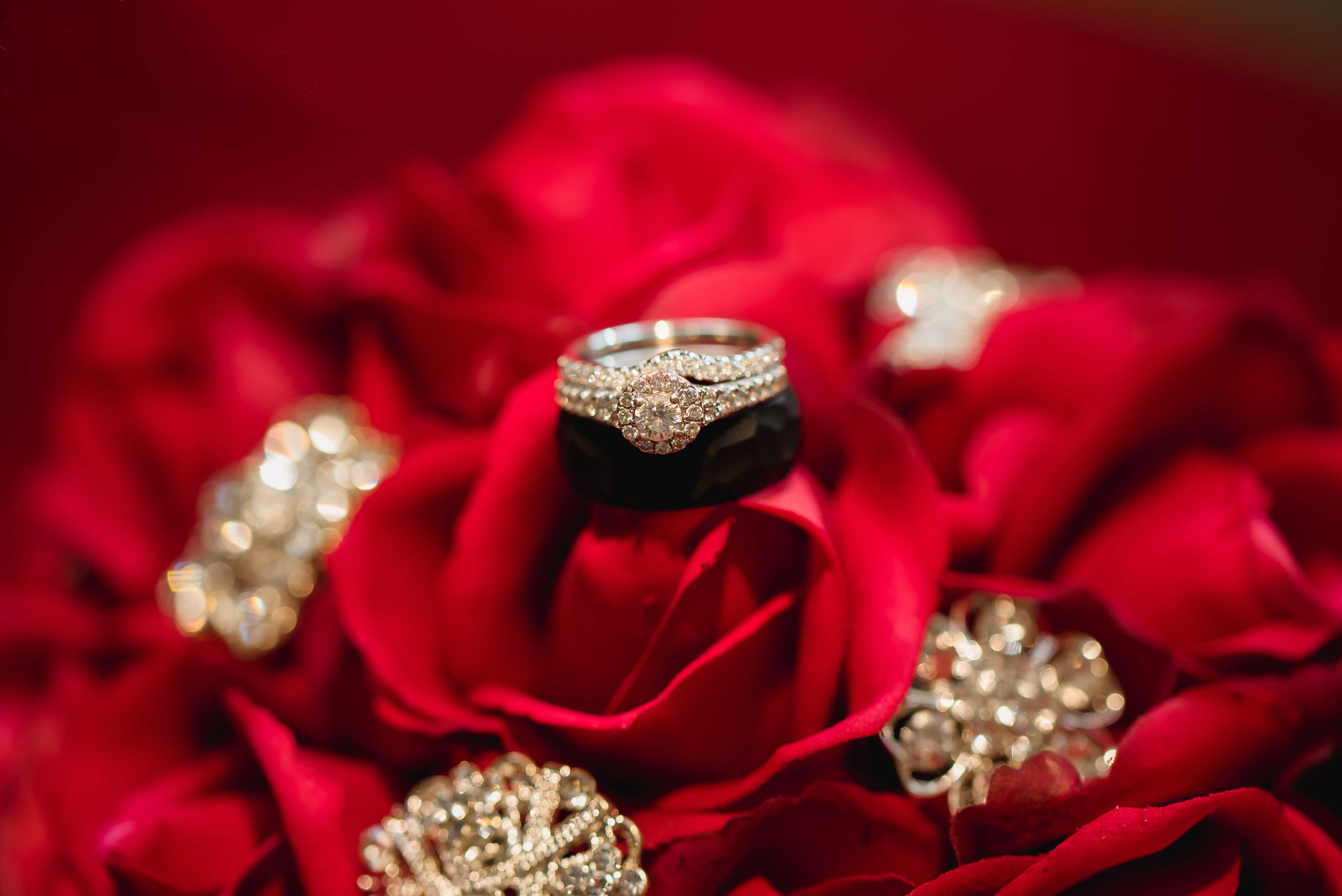 Fuller Wedding 1057 - Portfolio: Engagements / Weddings