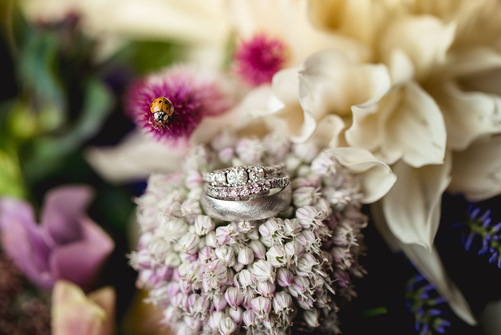 Hicks Wedding 1029 1024x684 - Portfolio: Engagements / Weddings