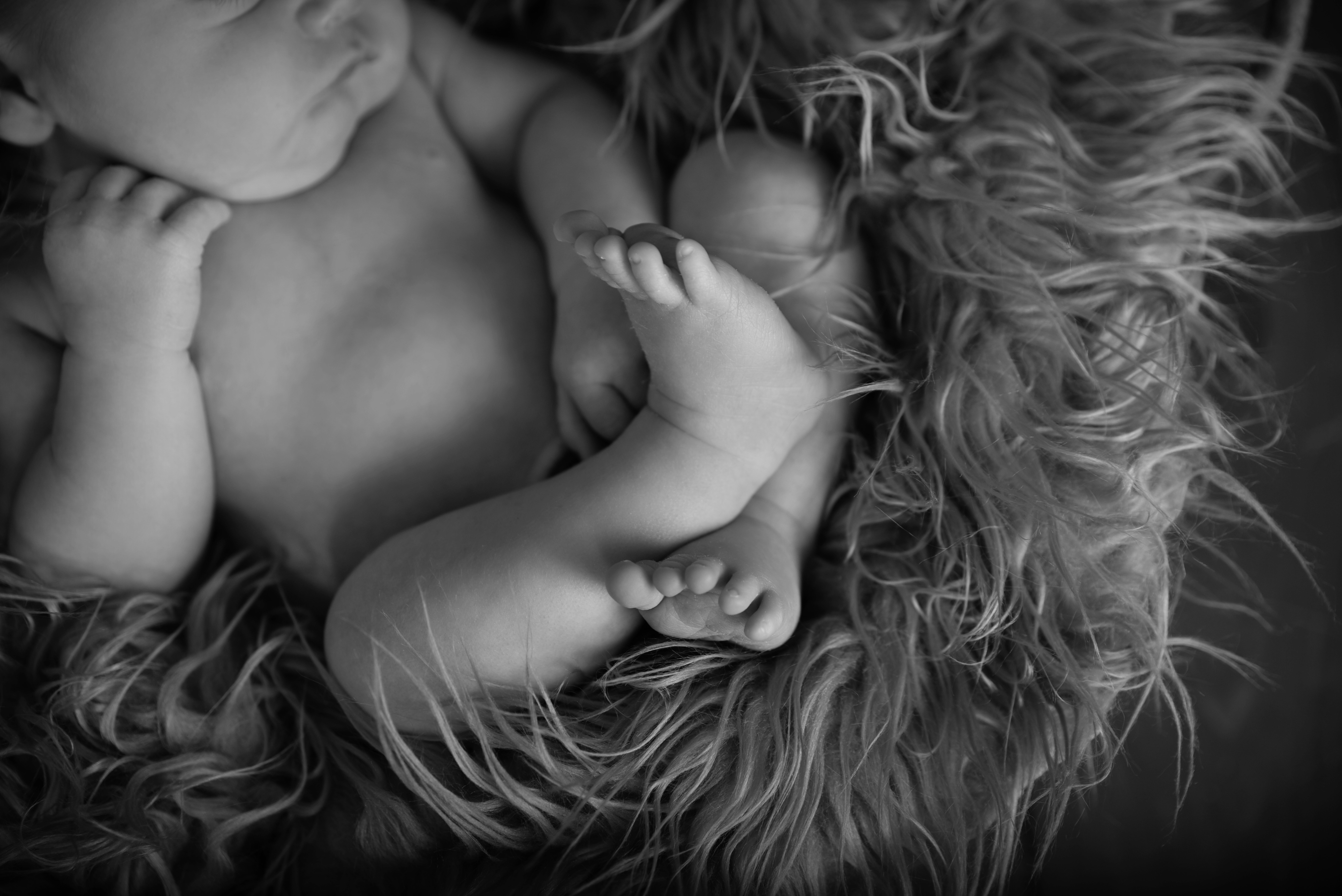 New Hampshire Newborn Photographer 5 - Portfolio: Infant Photography