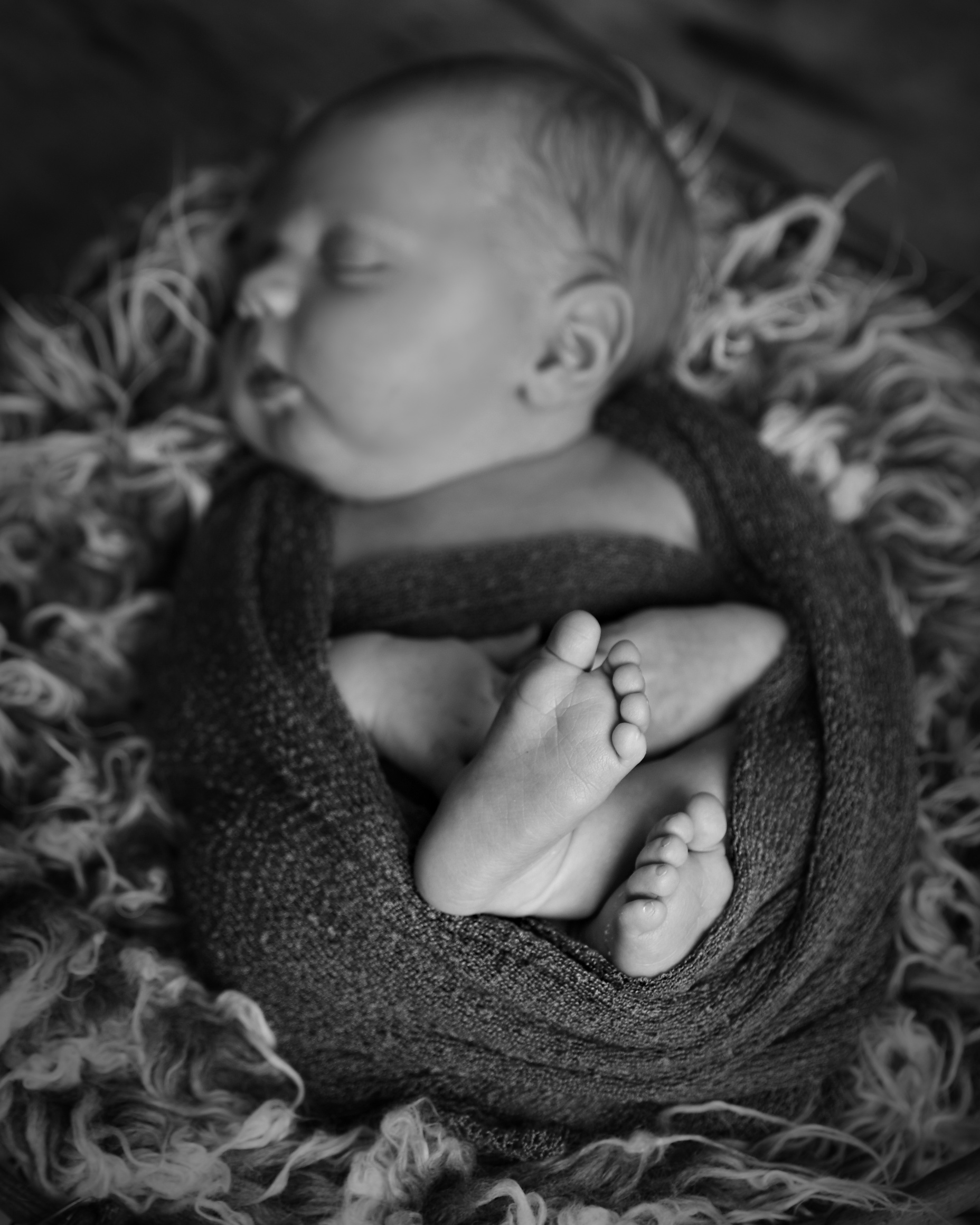 Newborn 4 - Portfolio: Infant Photography