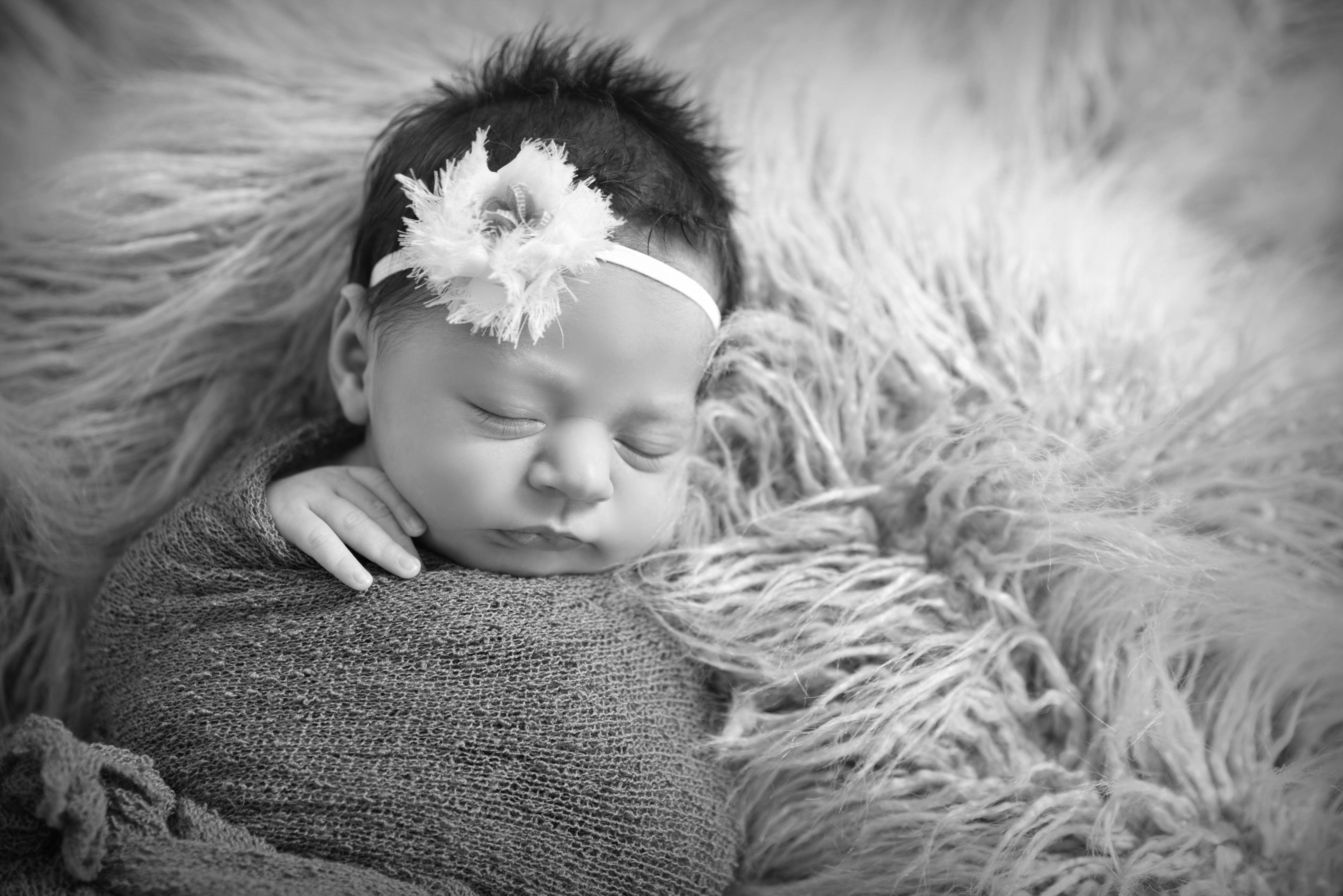 Newborn Photography 2 - Portfolio: Infant Photography