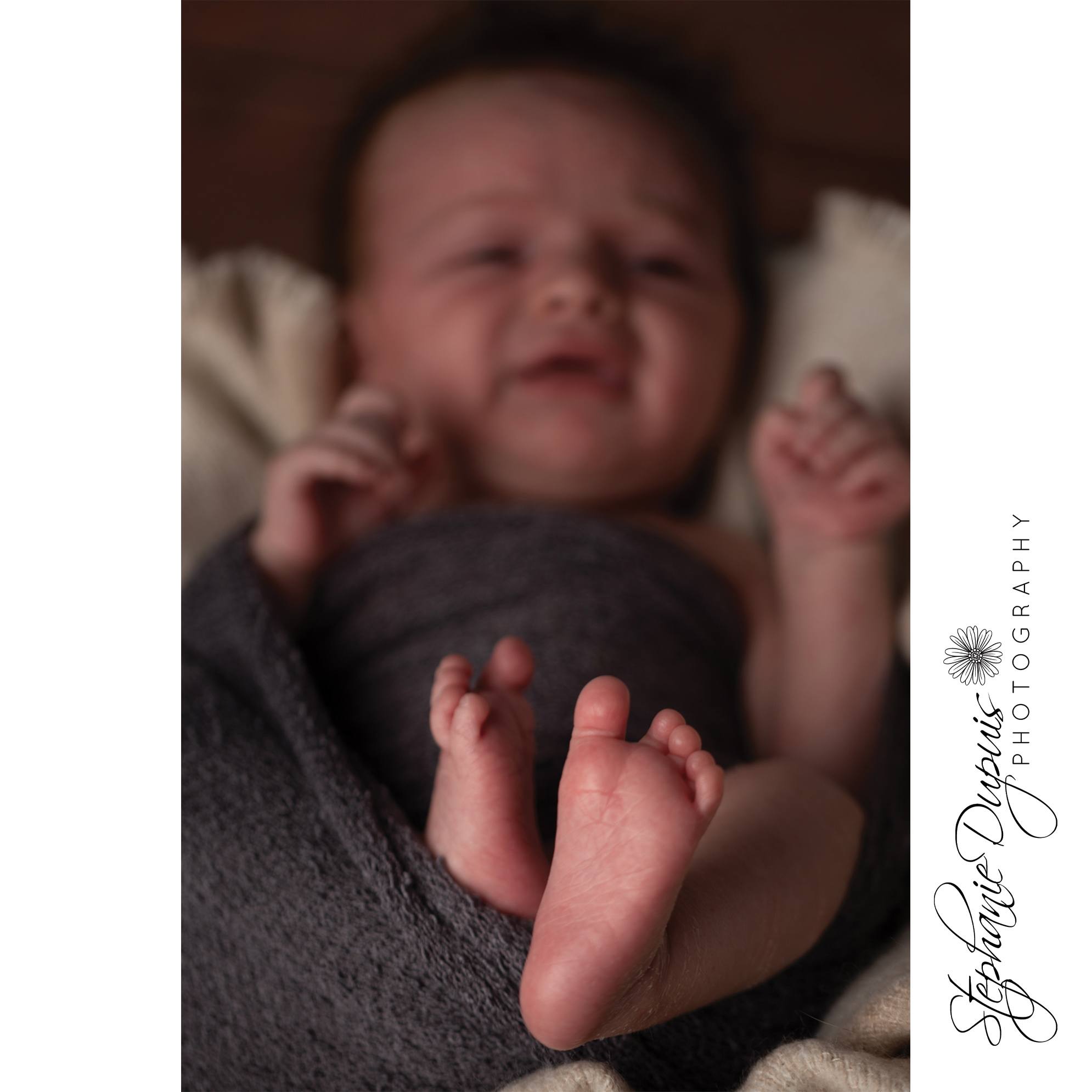 Kristen Hannah Jo Infant 12 - Portfolio: Reid - Infant Session