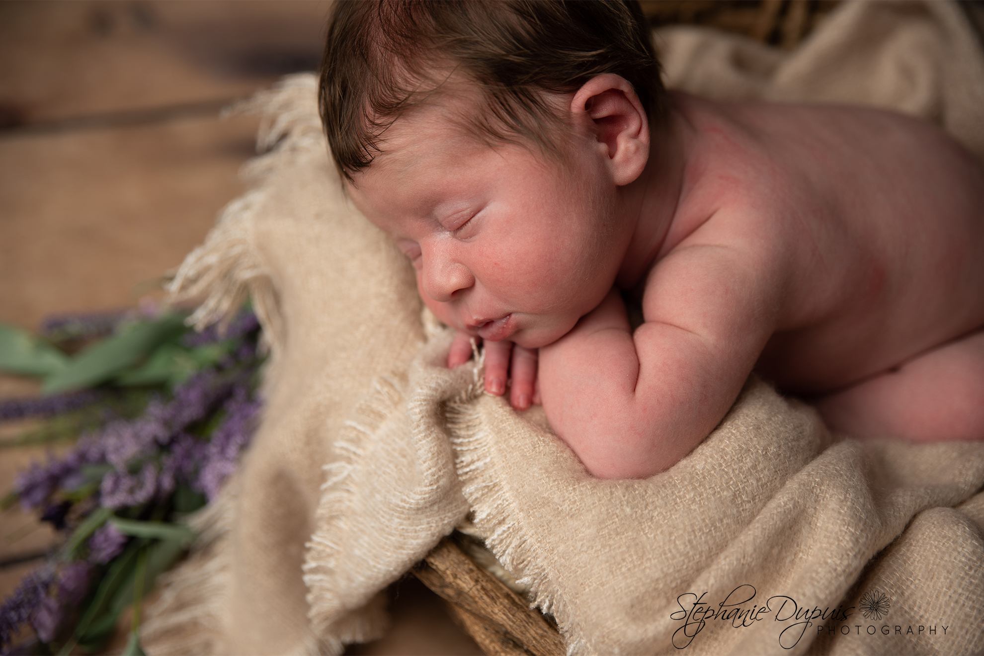 Trisha Eckherdt Infant 1011 - Portfolio: Rayia - Infant Session