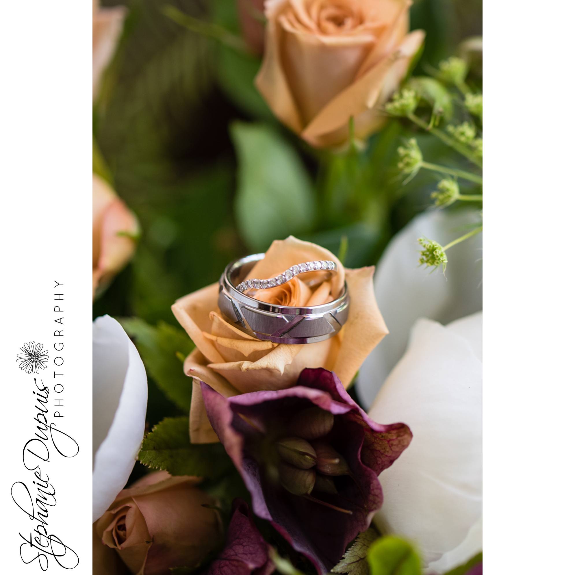 Pushee 3 - Portfolio: Pushee Wedding
