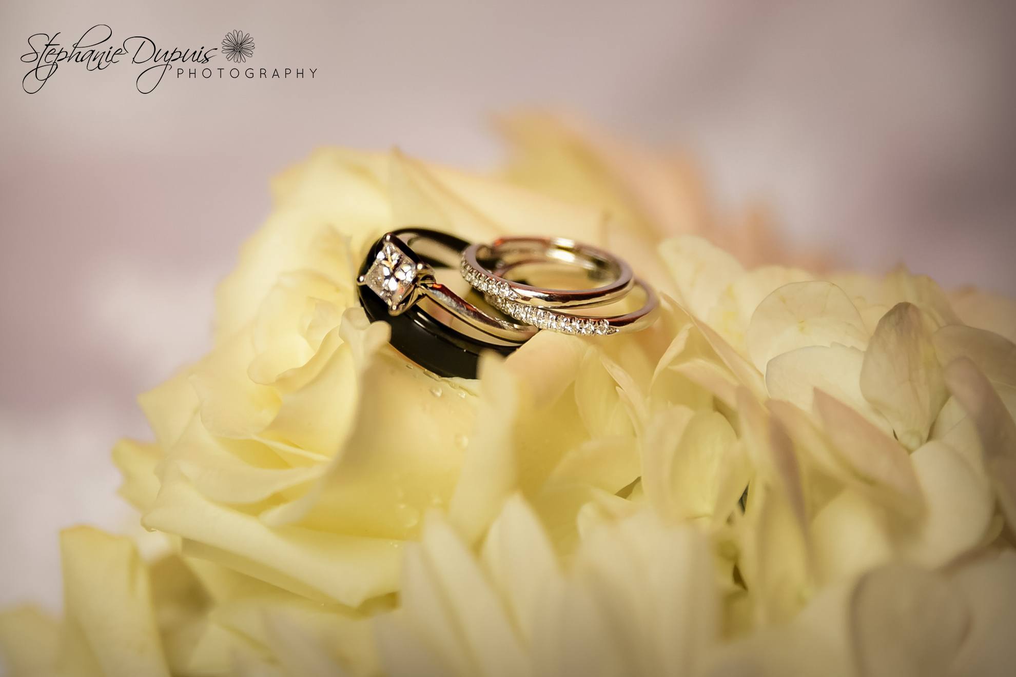 Littleton Wedding Photographer 02 5 - Portfolio: Nason Wedding