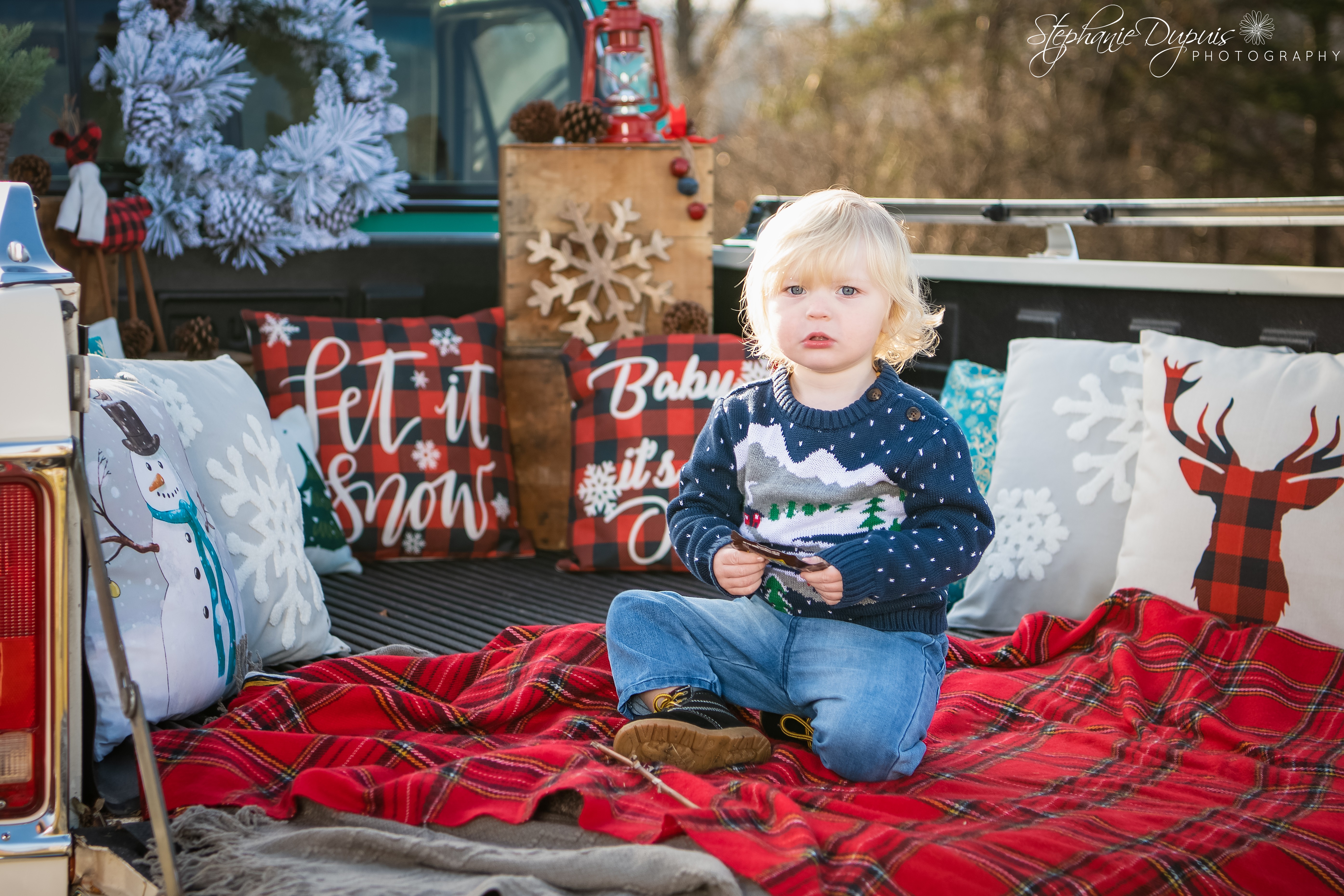 85S1786 1Edit - Portfolio: Winter Truck Minis Session