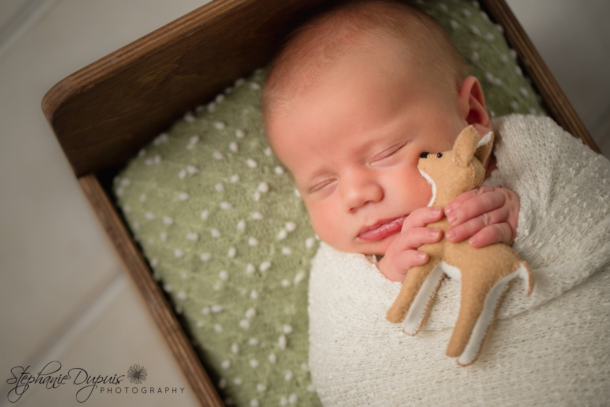 Decota infant 2 - Portfolio: Bohdon Newborn Session