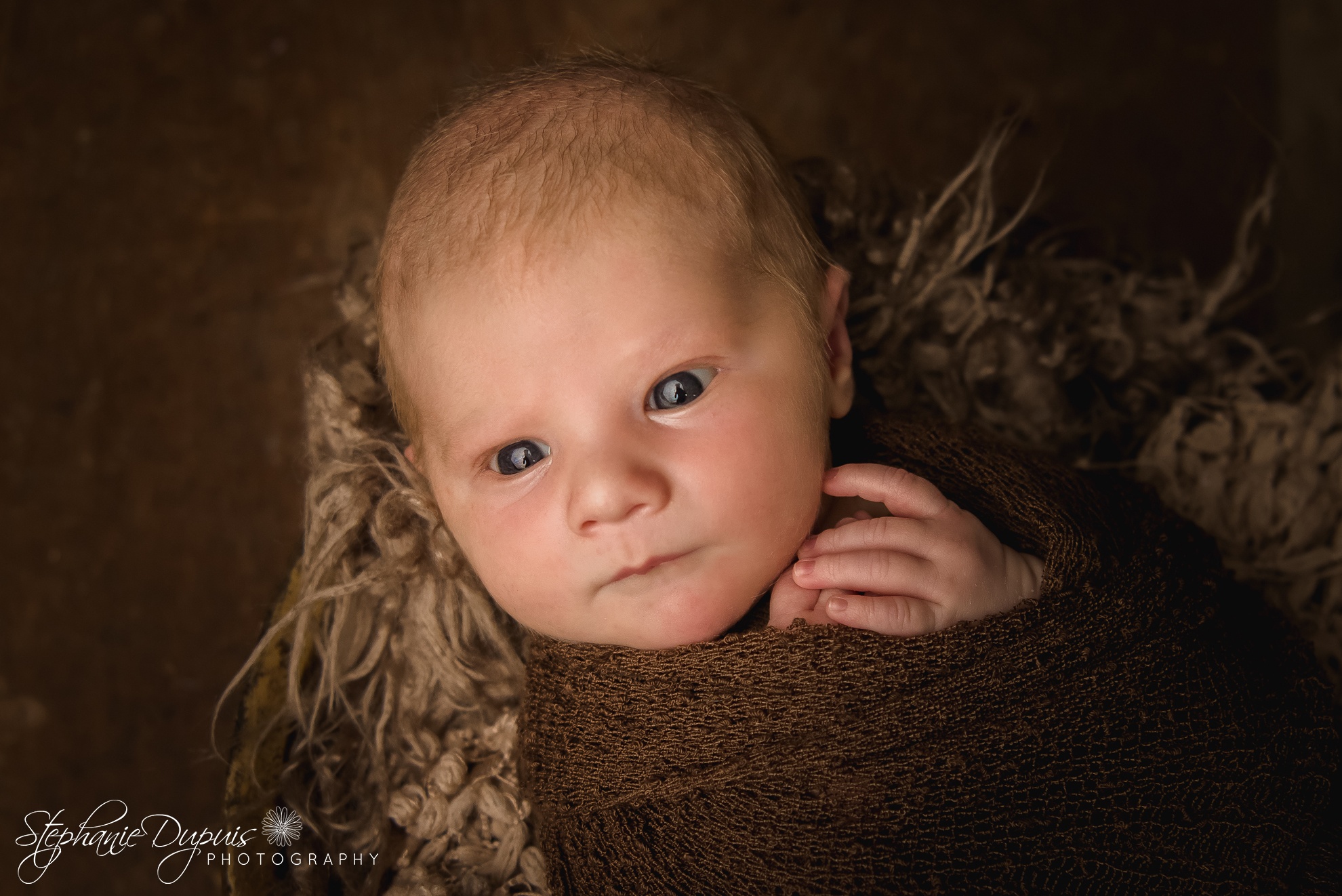 Spicer Infant 1 - Portfolio: William Newborn Session