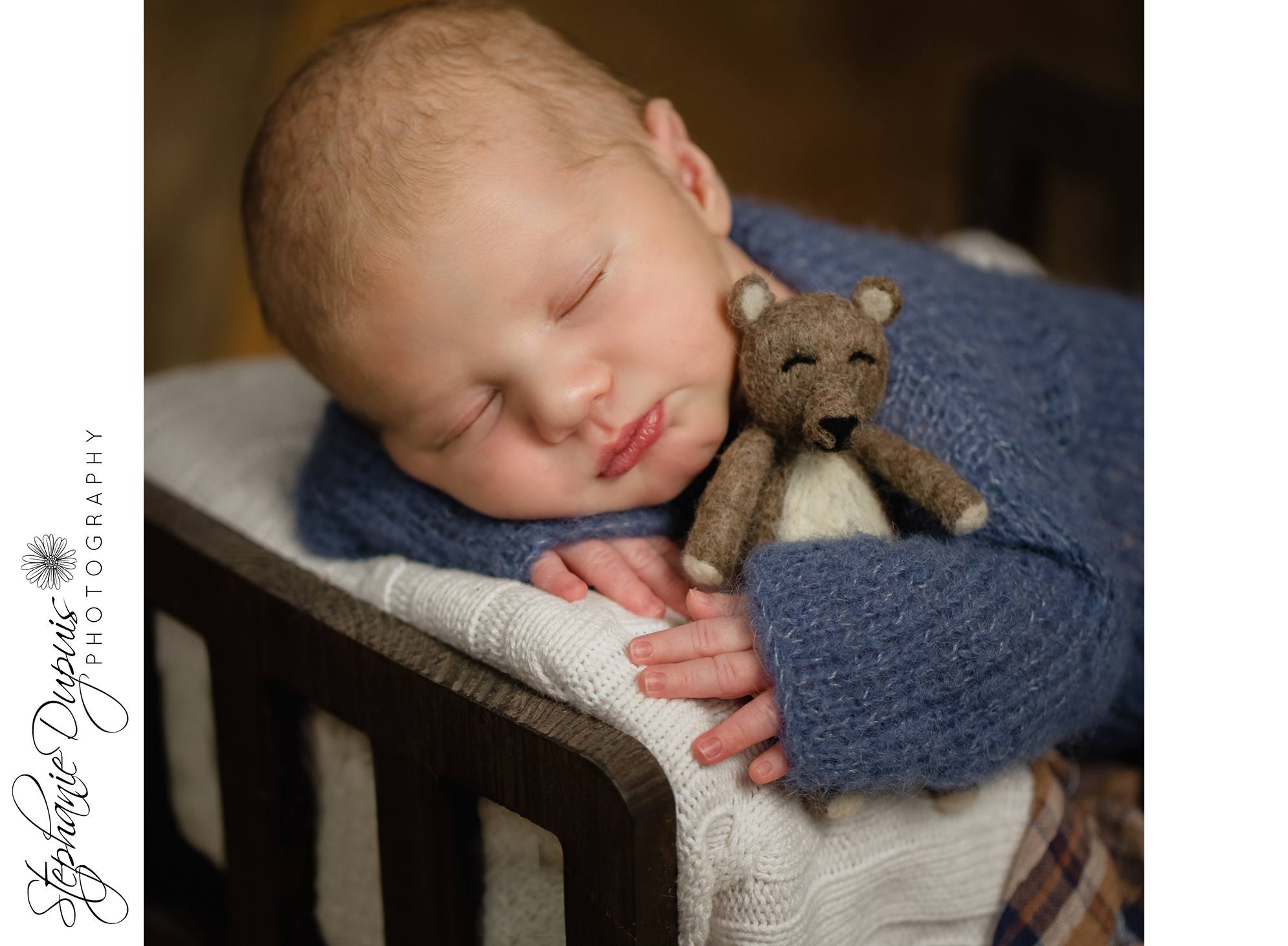 Spicer Infant 11 - Portfolio: William Newborn Session