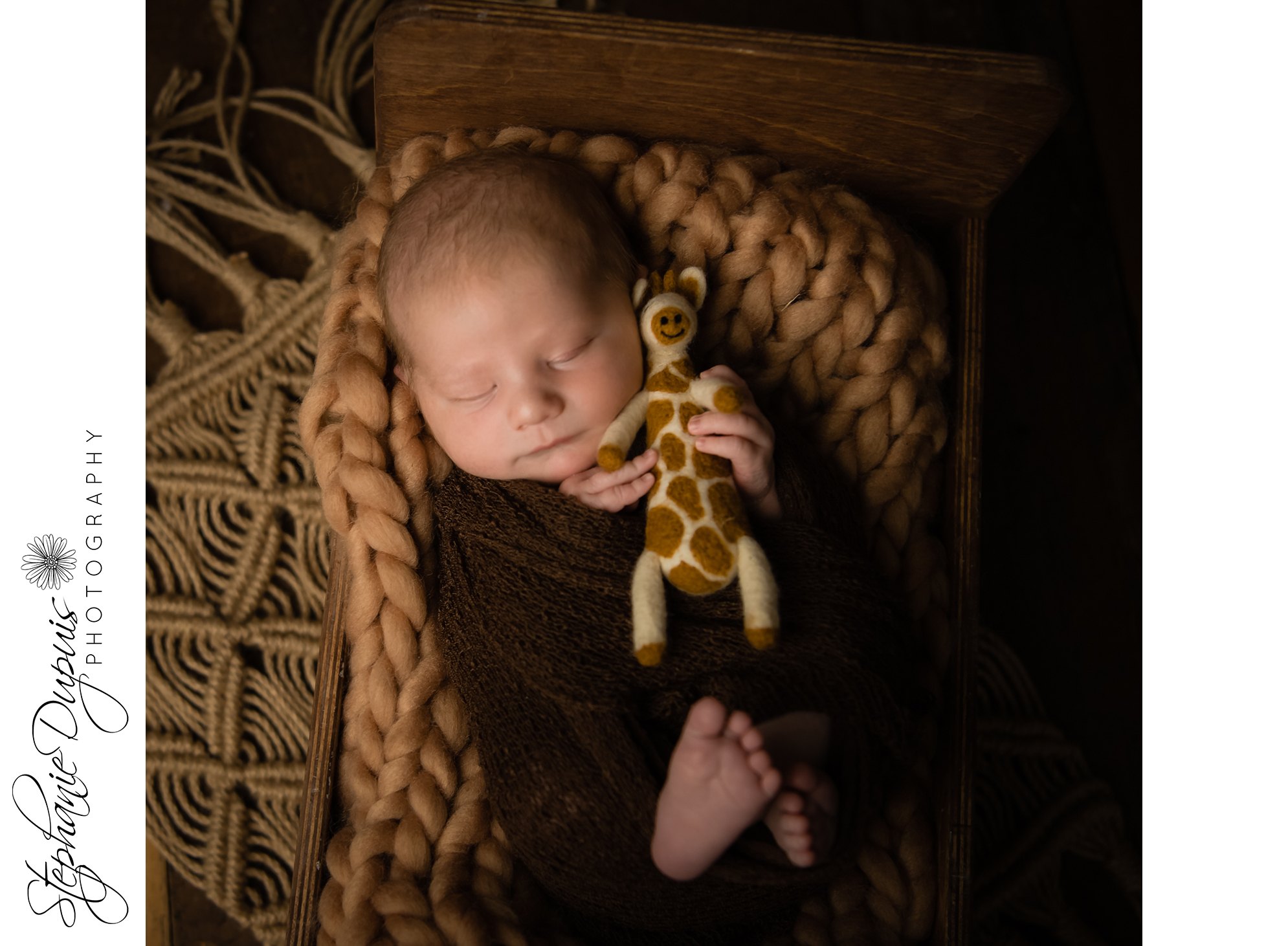 Spicer Infant 4 - Portfolio: William Newborn Session