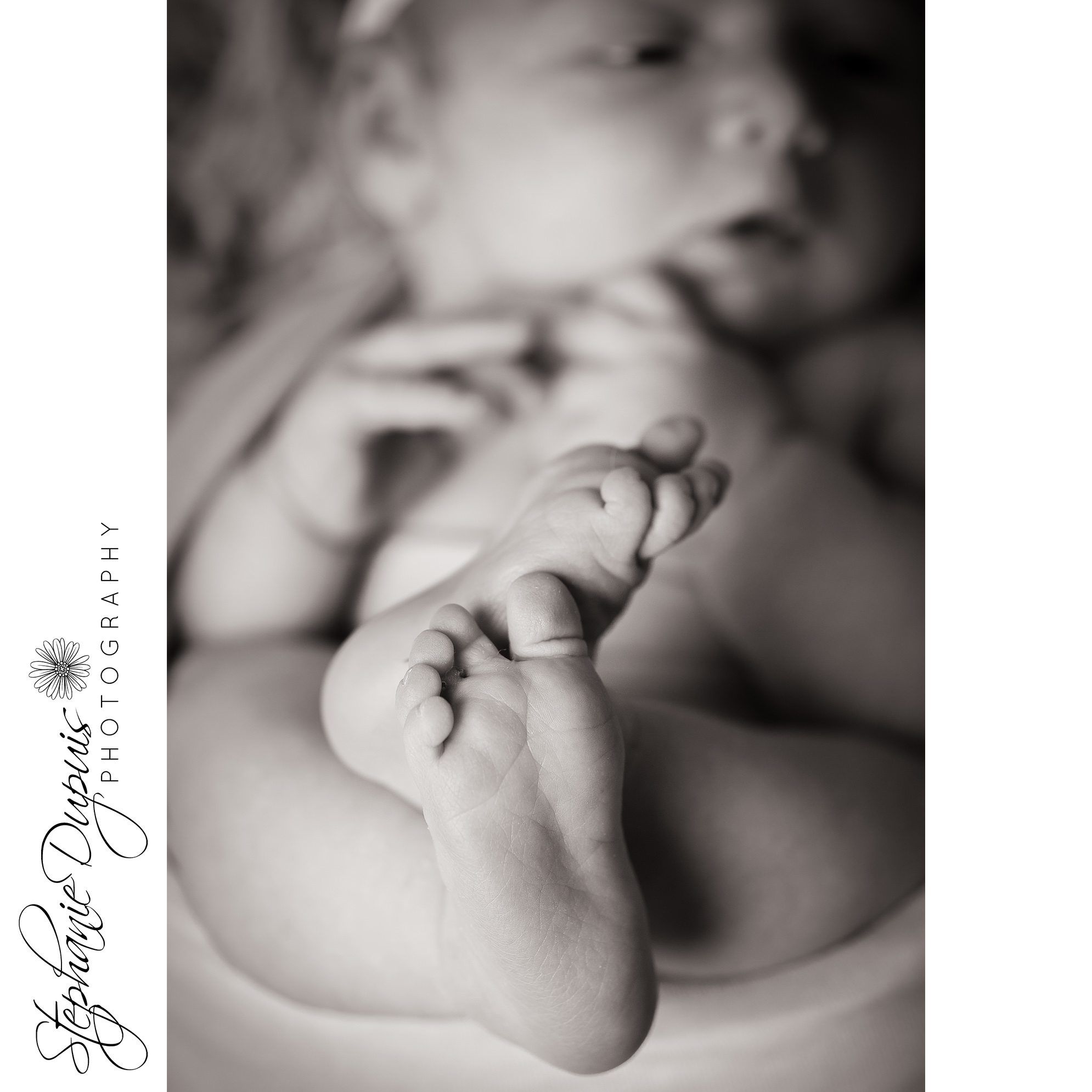Paighten 8 - Portfolio: Paighten Newborn Session